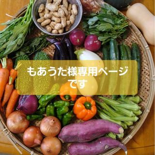 もあうた様専用ページです(野菜)