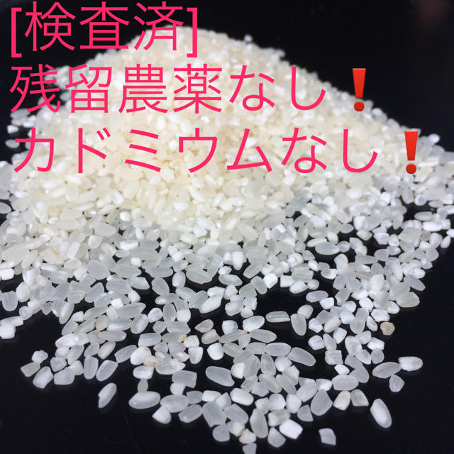 規格外:小粒のお米4kg 28年産 にこまる 食品/飲料/酒の食品(米/穀物)の商品写真