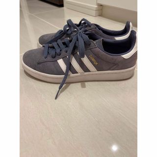 キャンパス(CAMPUS（adidas）)のadidas campus(スニーカー)