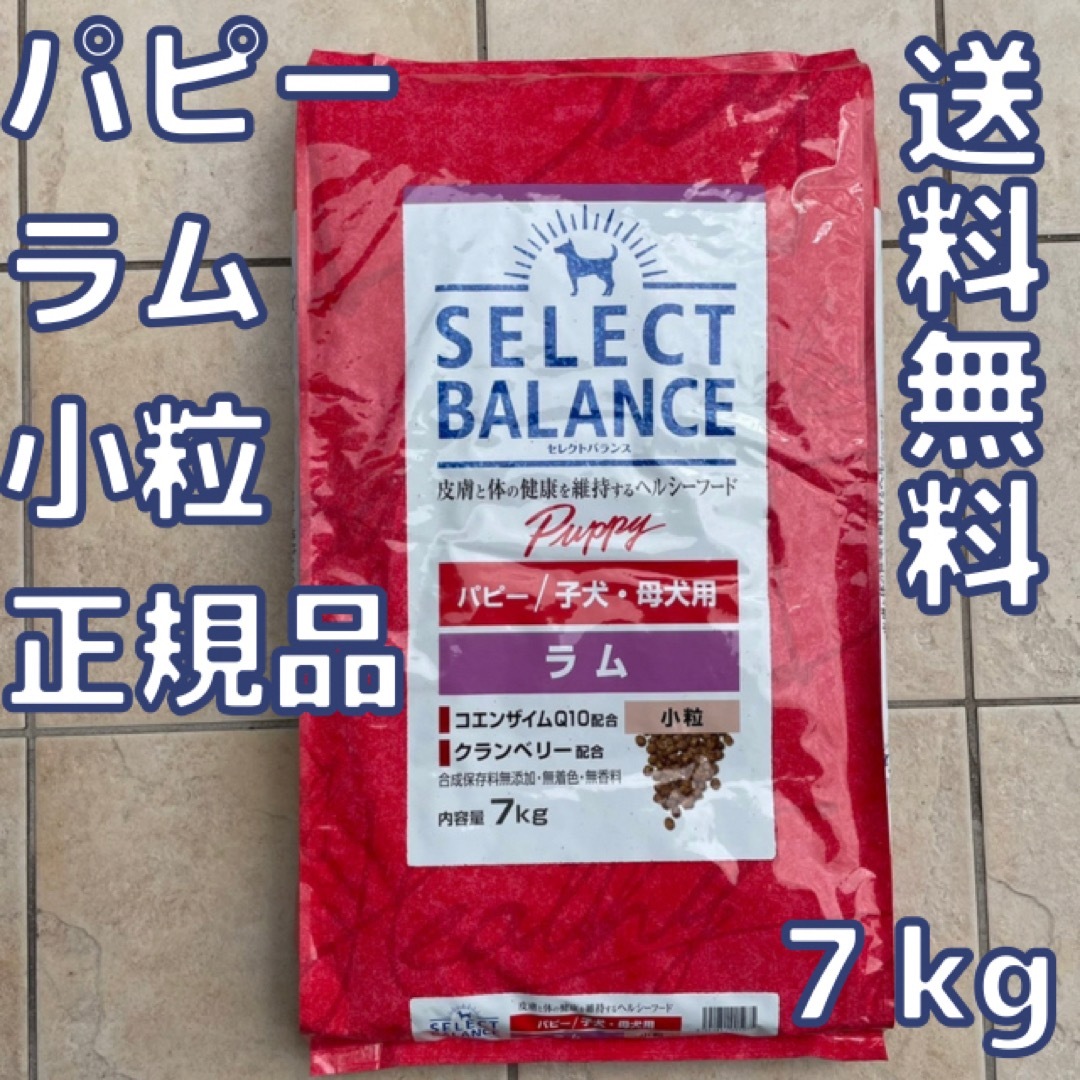 【新品】セレクトバランス　パピー　ラム　小粒　7kg
