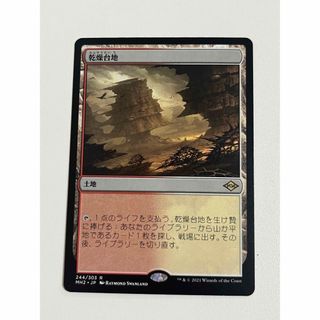 【お値下げ！】MTG 乾燥大地(シングルカード)