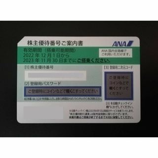 ANA 全日空 株主優待券 1枚 2023年11月30日搭乗分まで(航空券)