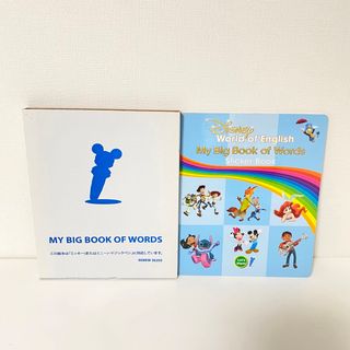 最新版　DWE マイビッグブックオブワーズ&StickerBook ディズニー