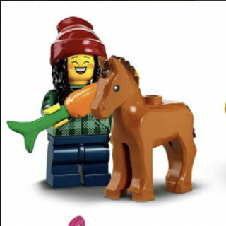 レゴ(Lego)の専用！！レゴ　ミニフィグ　馬と少女(その他)