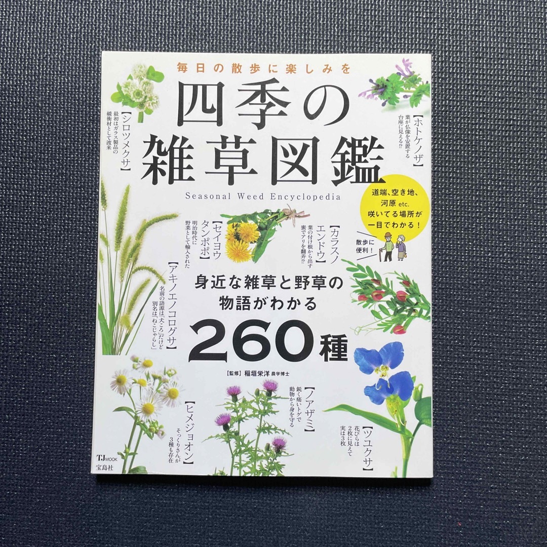 宝島社(タカラジマシャ)の四季の雑草図鑑 毎日の散歩に楽しみを／身近な雑草と野草の物語がわか エンタメ/ホビーの本(科学/技術)の商品写真