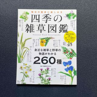 タカラジマシャ(宝島社)の四季の雑草図鑑 毎日の散歩に楽しみを／身近な雑草と野草の物語がわか(科学/技術)