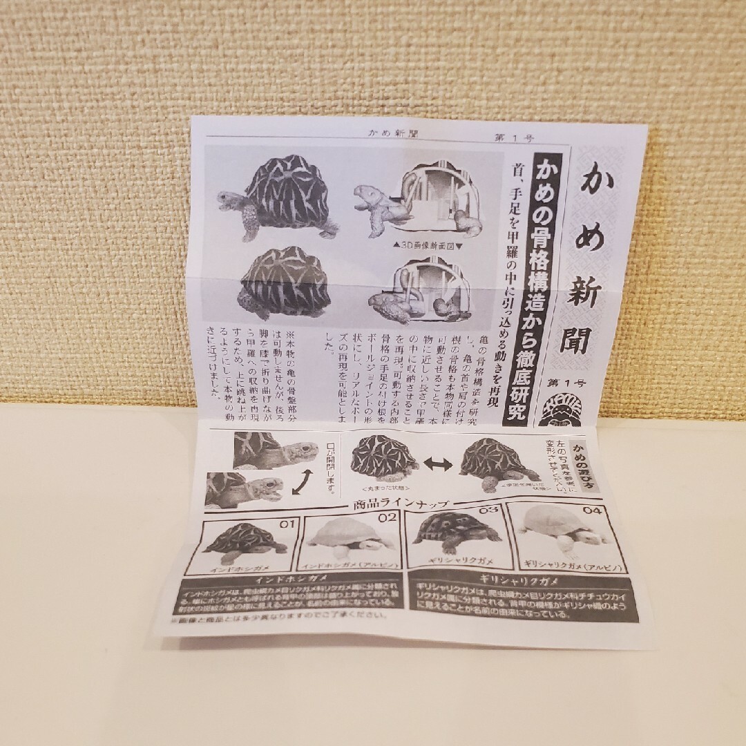 BANDAI(バンダイ)のいきもの大図鑑　亀 エンタメ/ホビーのコレクション(その他)の商品写真