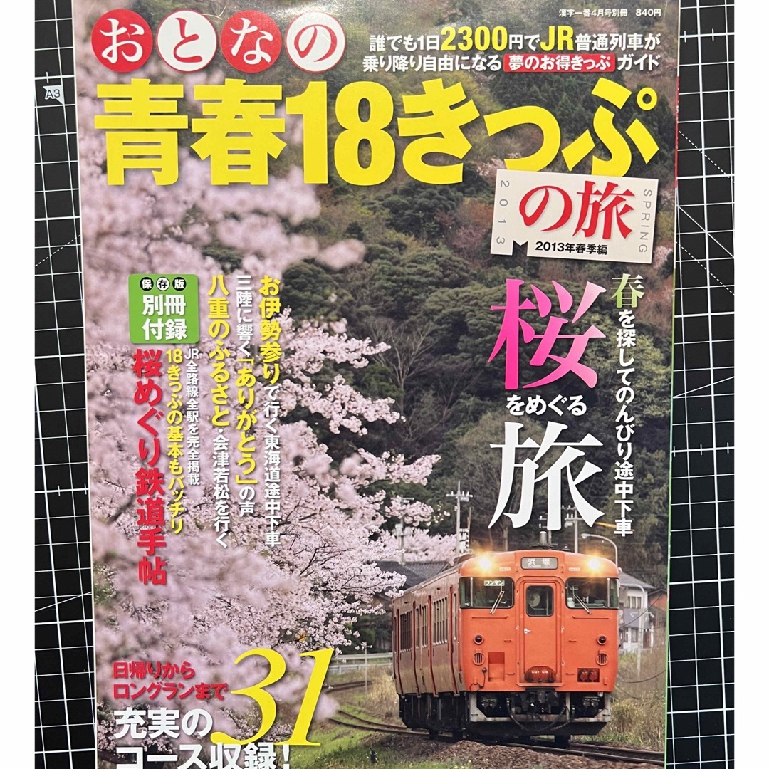 おとなの青春18きっぷ　２冊セット エンタメ/ホビーのテーブルゲーム/ホビー(鉄道)の商品写真