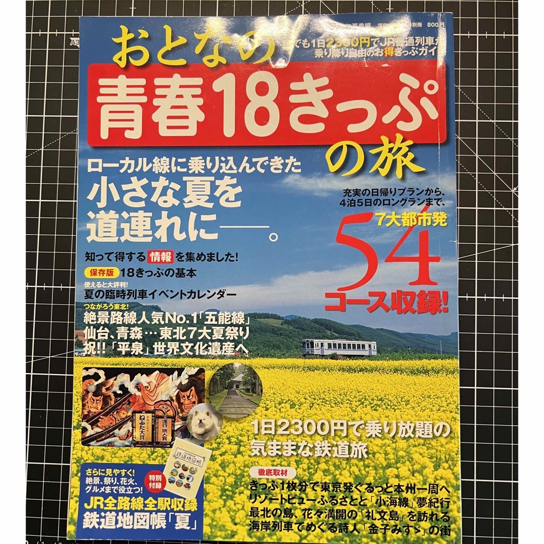 おとなの青春18きっぷ　２冊セット エンタメ/ホビーのテーブルゲーム/ホビー(鉄道)の商品写真