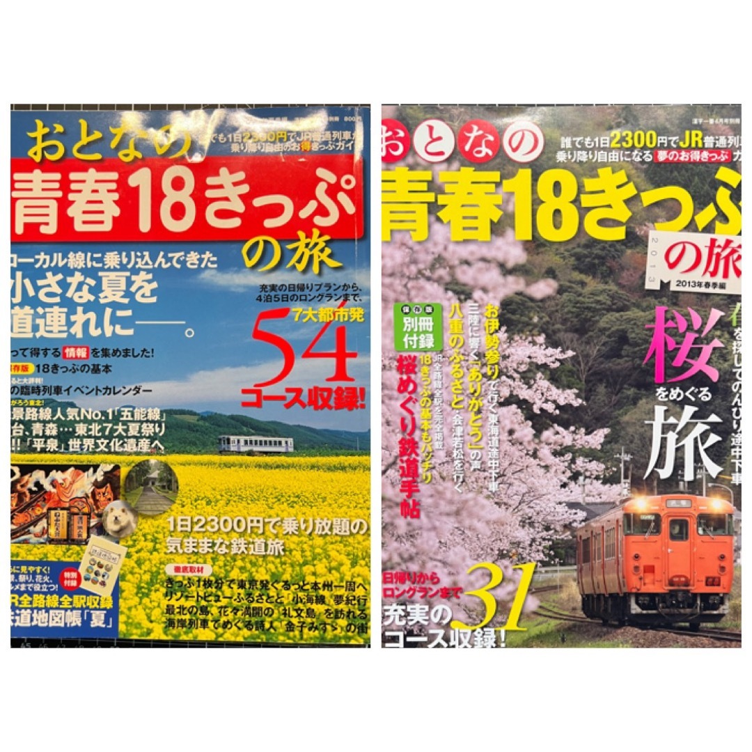 おとなの青春18きっぷ　２冊セット エンタメ/ホビーのテーブルゲーム/ホビー(鉄道)の商品写真