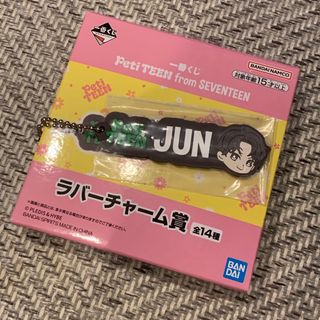 セブンティーン(SEVENTEEN)のPetiTEEN from SEVENTEEN 一番くじ　ジュン(アイドルグッズ)