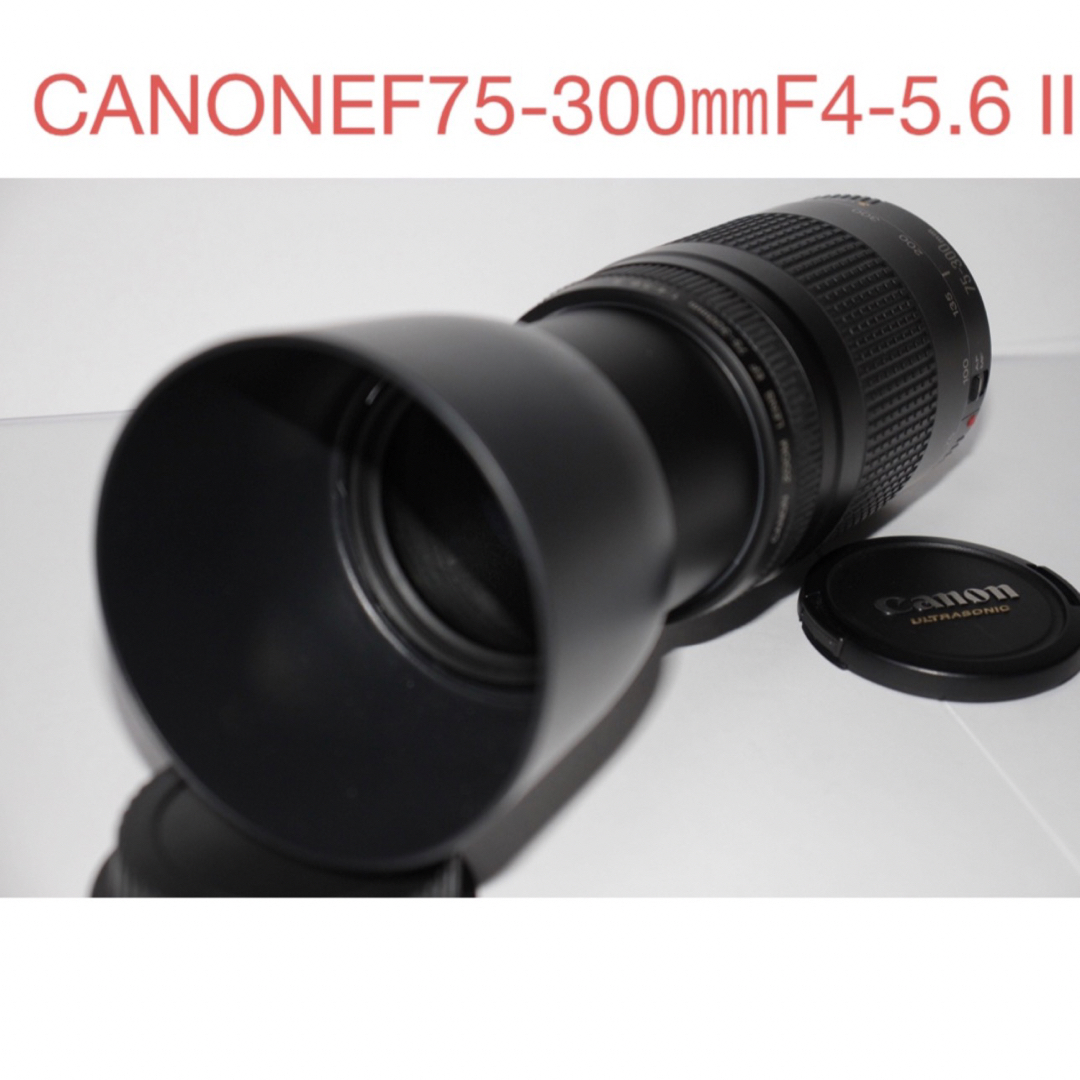 Canon - ☆美品☆キャノン CANON EF 75-300mm F4-5.6 IIの通販 by