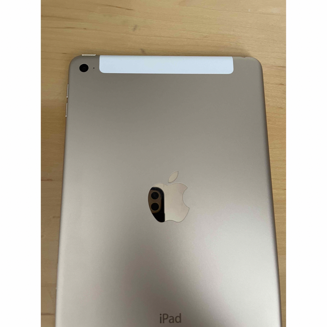 iPad mini 4 Wi-Fi＋Cellular 16GB - www.sorbillomenu.com