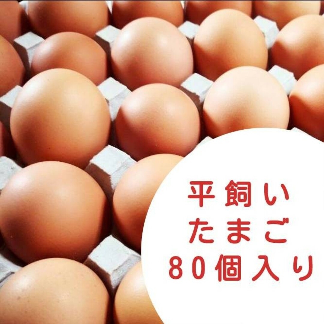 平飼いたまご　✴︎高原卵　10個入り8パック M ~Ｌサイズ✴︎ 新鮮たまご