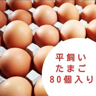 平飼い卵　10個入り8パック　国産もみじの卵　新鮮　産みたて(野菜)