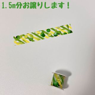 エムティー(イエロー/黄色系)の通販 300点以上 | mtを買うならラクマ