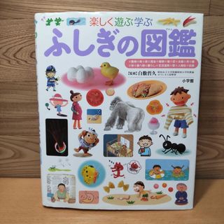 ショウガクカン(小学館)の【ふしぎの図鑑　楽しく遊ぶ学ぶ】小学館　図鑑(絵本/児童書)