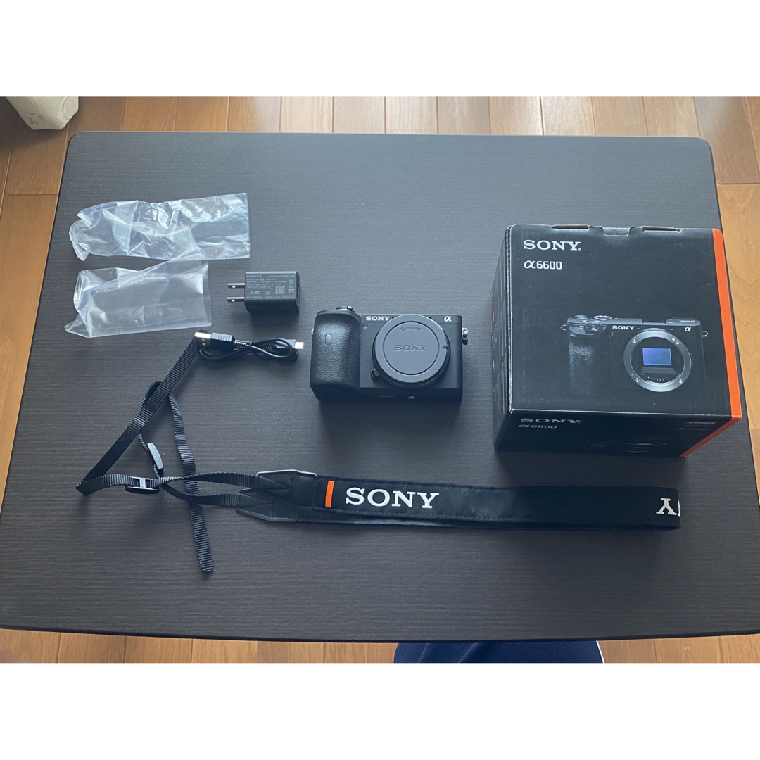 Sony α6600 ボディ