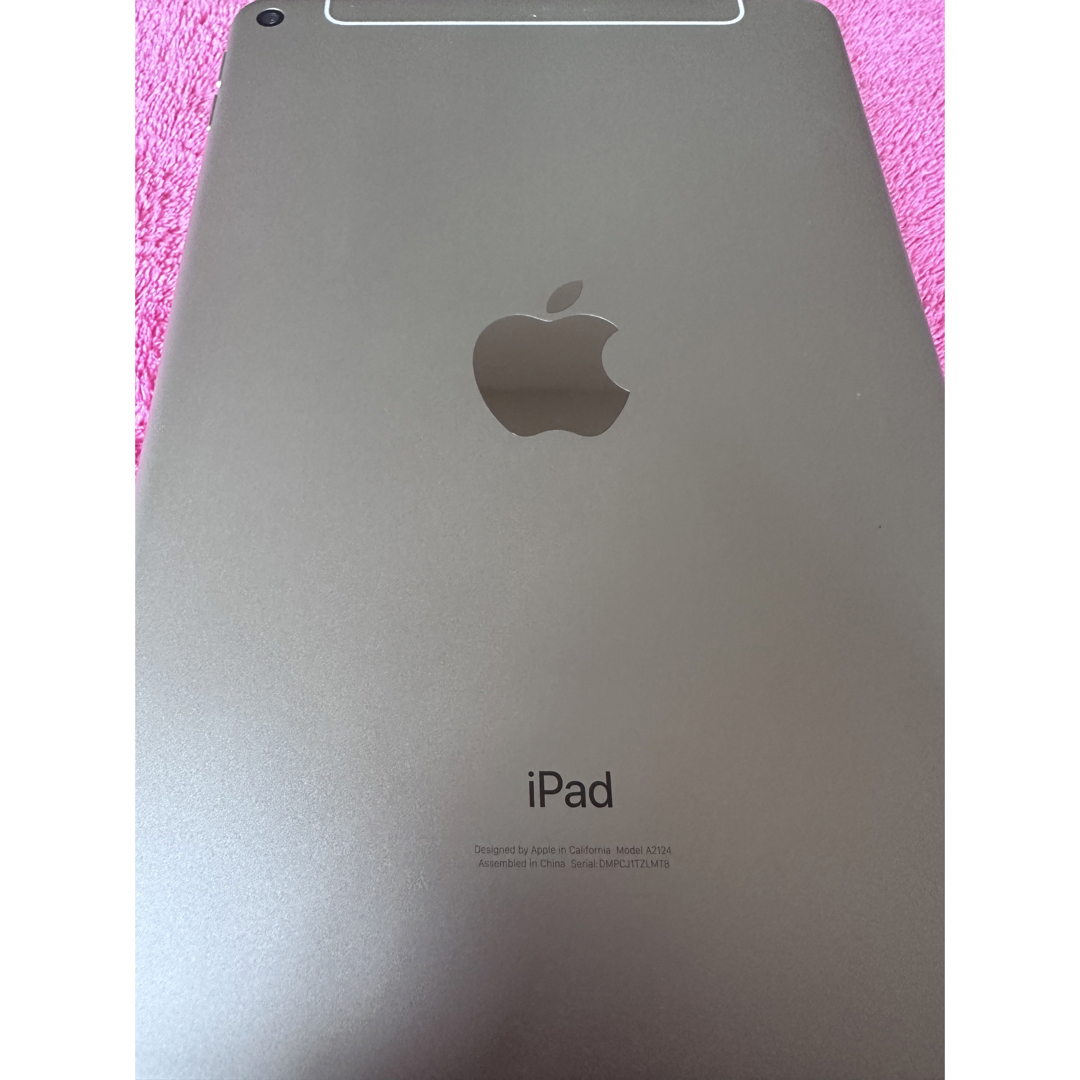 アップル代表カラーアップル iPad mini 第5世代 64GB Silver cellular