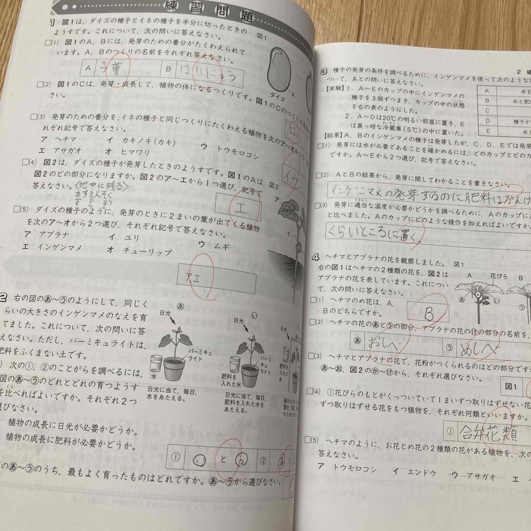 栄光ゼミナール　夏期テキスト４教科セット エンタメ/ホビーの本(語学/参考書)の商品写真