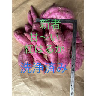 さつまいも　紅はるか無農薬　5キロ              鹿児島県産(野菜)