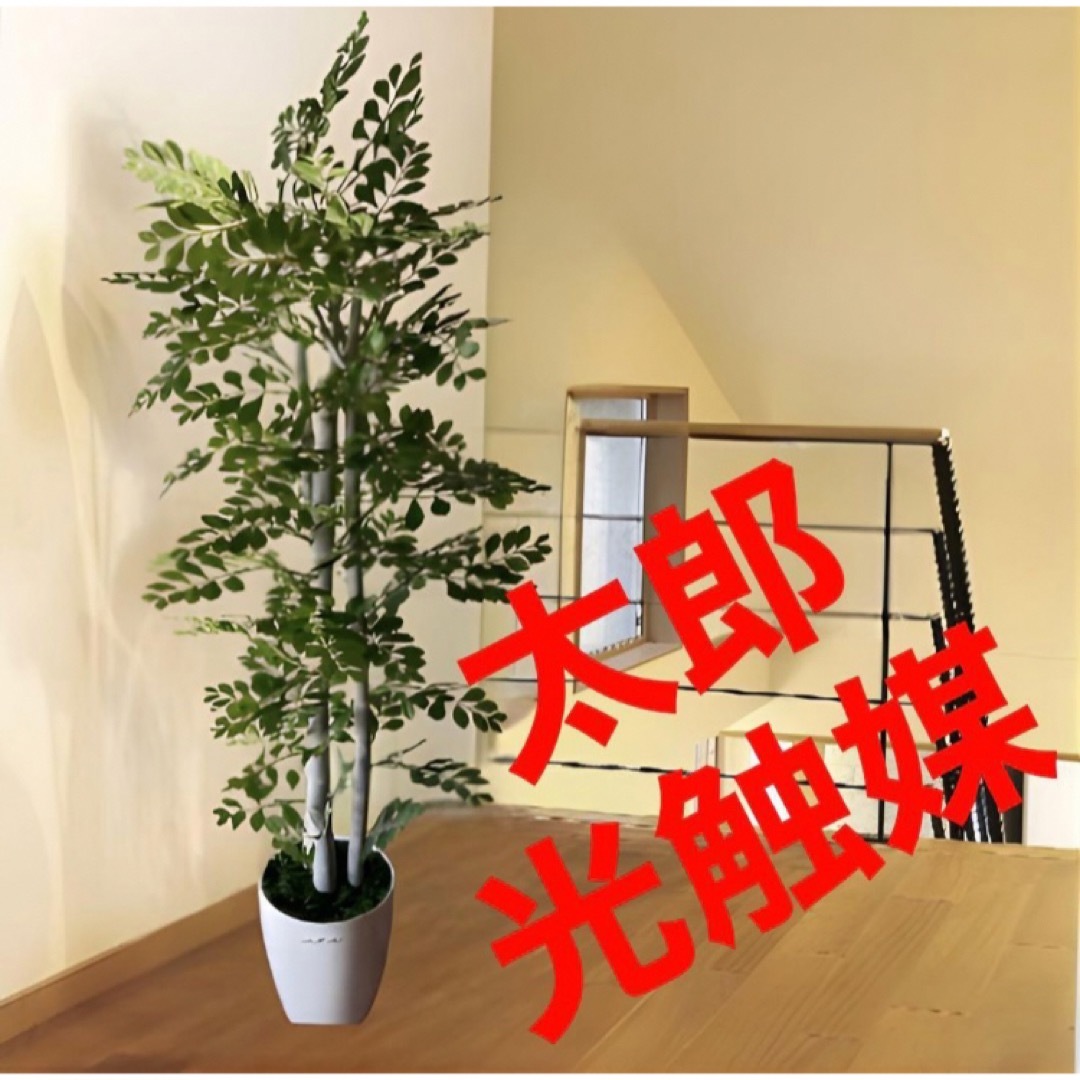 光触媒 人工観葉植物 ウォールグリーン フェイクグリーン トネリコ11555-