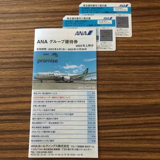 エーエヌエー(ゼンニッポンクウユ)(ANA(全日本空輸))のANA株主優待券2枚とグループ優待券1冊(航空券)