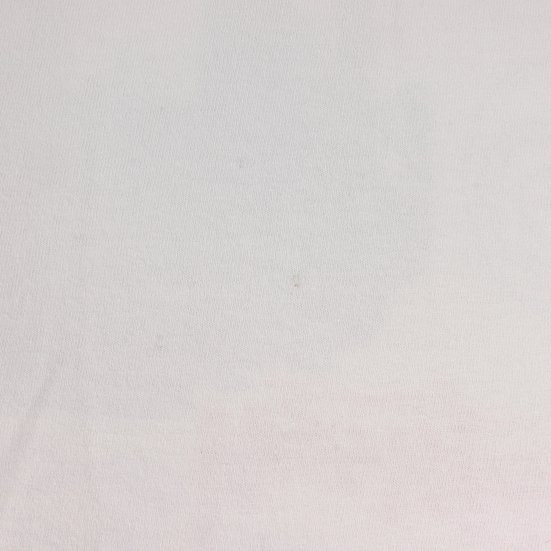 STUSSY ステューシー Tシャツ サイズ:L 00s マルチ グラフィック クルーネック 半袖 Tシャツ ホワイト 白 トップス カットソー 【メンズ】メンズ
