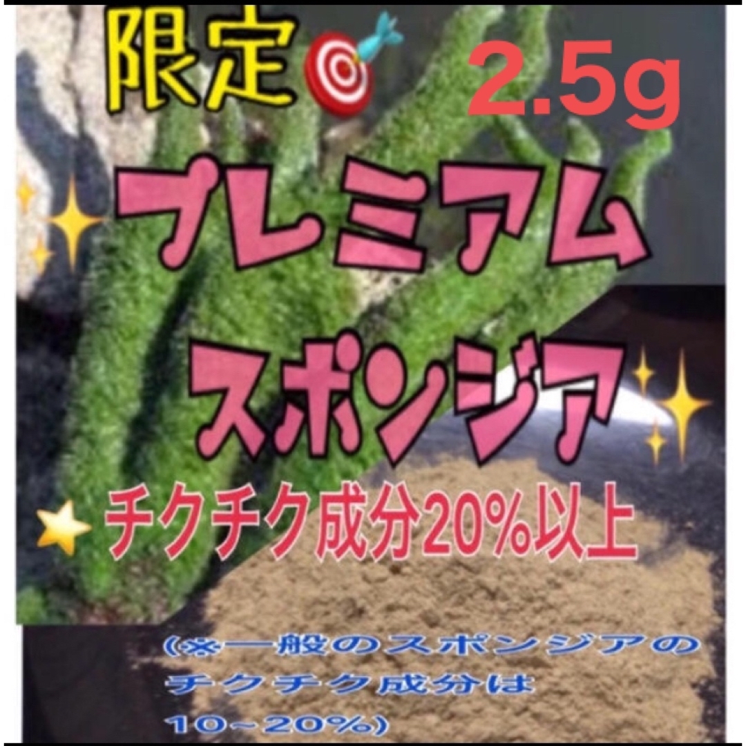 ★剥離あり◎大人気◎ロングセラー★プレミアムスポンジア2.5g大特価★説明書付 その他のその他(その他)の商品写真