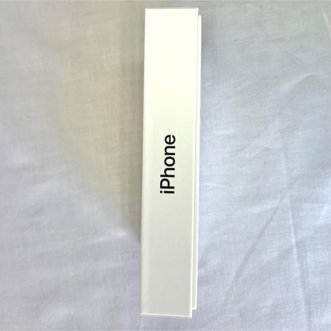 Apple(アップル)のiPhoneSE第2世代空箱 Apple純正ライトニングケーブル ピン ブラック スマホ/家電/カメラのスマートフォン/携帯電話(バッテリー/充電器)の商品写真