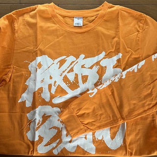 parasite dejavu ロンT Lサイズ(Tシャツ/カットソー(七分/長袖))
