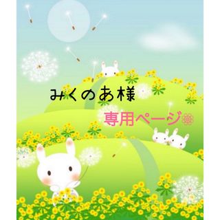 みくのあ様専用ページ❁⃘*.ﾟ(各種パーツ)