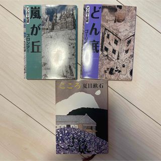 【最終値下げ】どん底　嵐が丘　こころのセット(文学/小説)