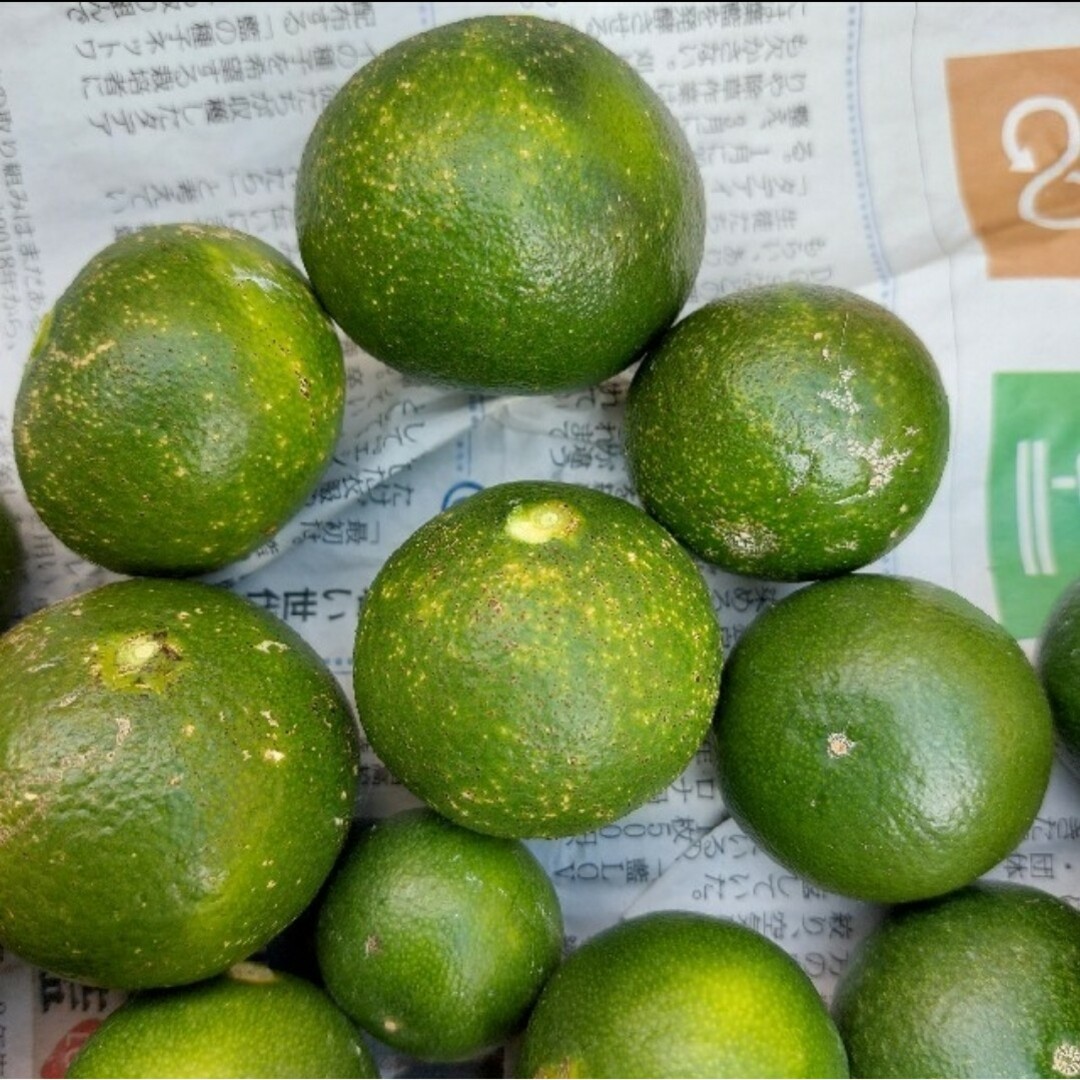 青みかん１kgすごーく見映え悪い(無農薬栽培酸っぱい青みかん) 食品/飲料/酒の食品(フルーツ)の商品写真