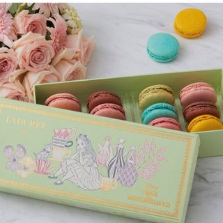 ラデュレ(LADUREE)のLADUREE  ラデュレ　アリス イン ワンダーランド　限定BOX(キャラクターグッズ)