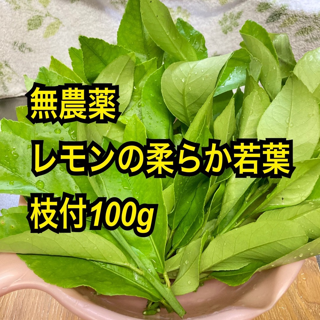 農薬不使用 レモンの若葉 枝付100g - 虫類用品