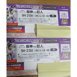 甲子園巨人最終戦　阪神 vs 巨人9月19日日曜日 レフト外野シートペア