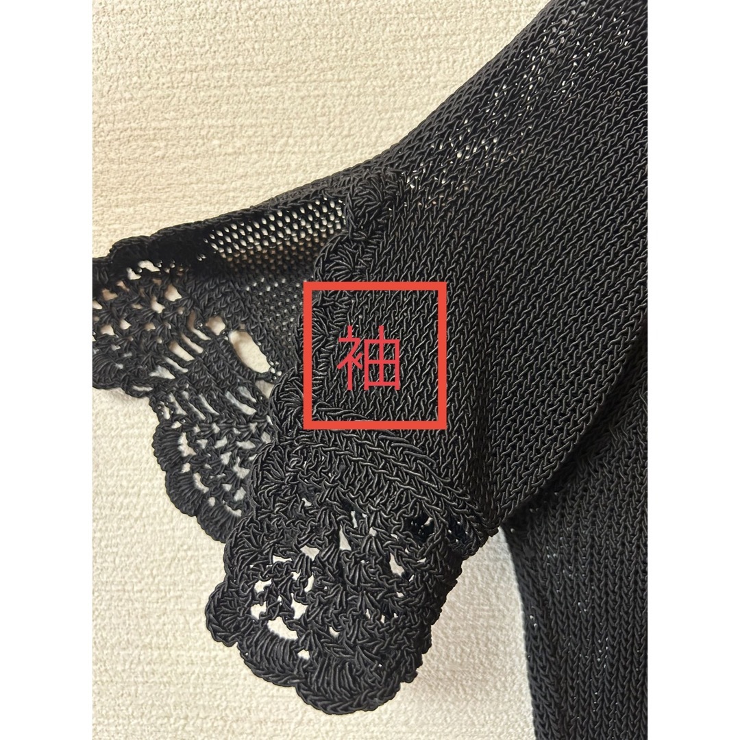 ANNA SUI(アナスイ)のアナスイ　カットソー レディースのトップス(カットソー(半袖/袖なし))の商品写真