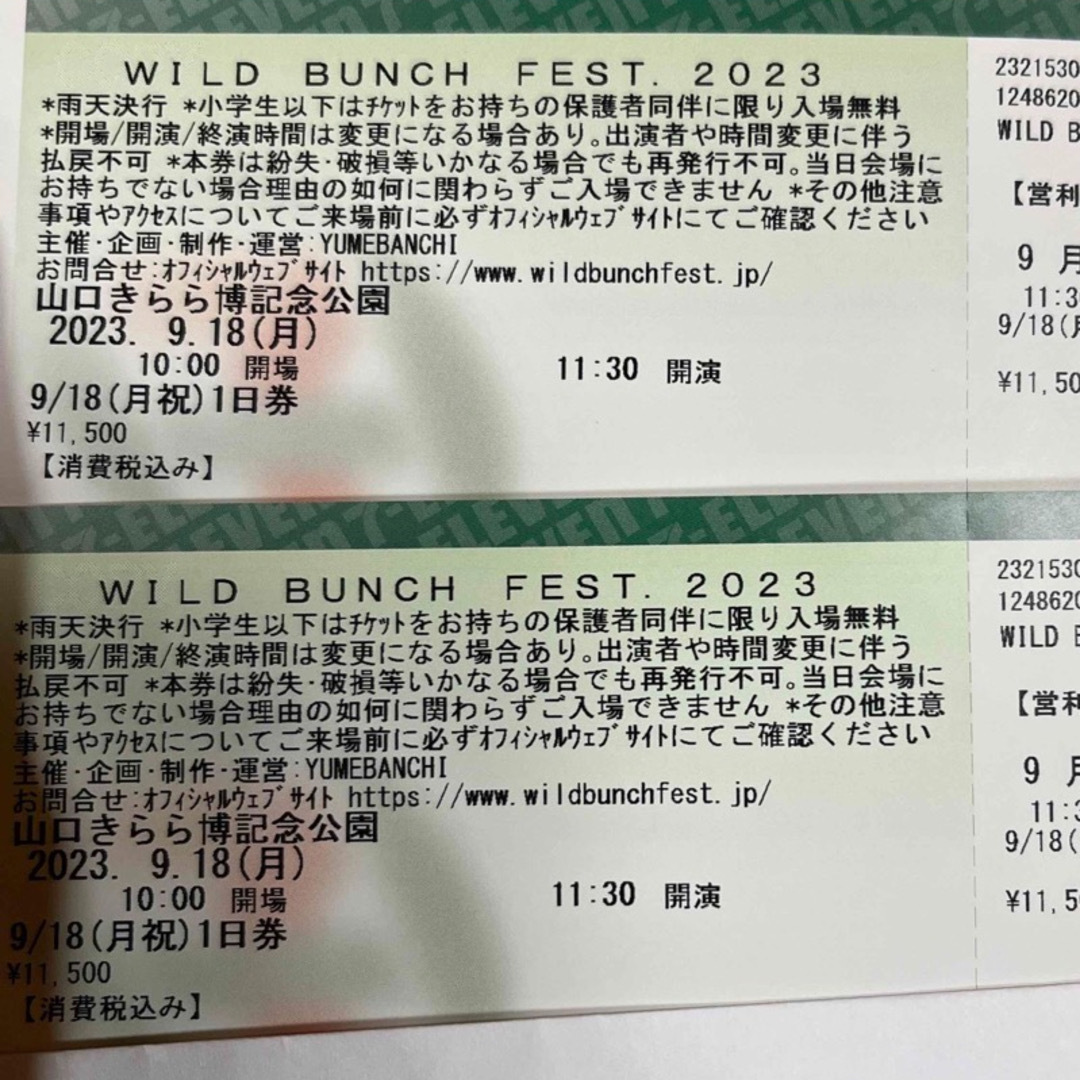 値下げ】WILD BUNCH FEST 9/18(月)チケット1枚 - 邦楽