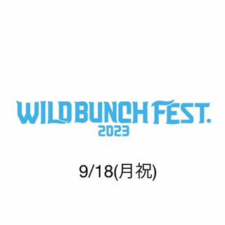 <値下げ交渉可>ワイルドバンチ 2023 9/18 1枚(音楽フェス)