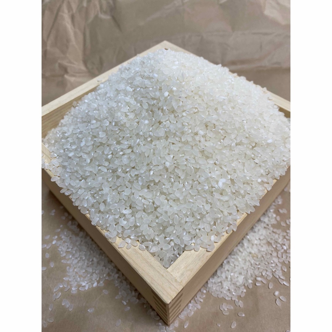 兵庫県丹波篠山産コシヒカリ　米/穀物