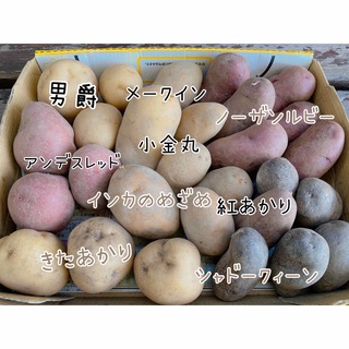 北海道産 じゃがいも 食べ比べセット(野菜)