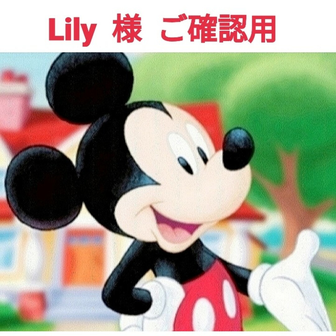 ♢Lily 様 ご確認用♢甘酢いか軟骨300㌘１袋・米沢牛スープカルパス ２