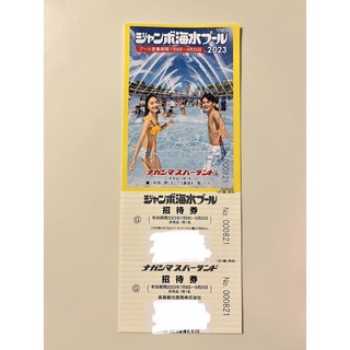 長島ジャンボ海水プールチケット　大人1枚(プール)