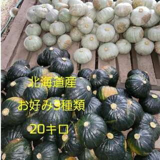 かぼちゃ20キロ(野菜)