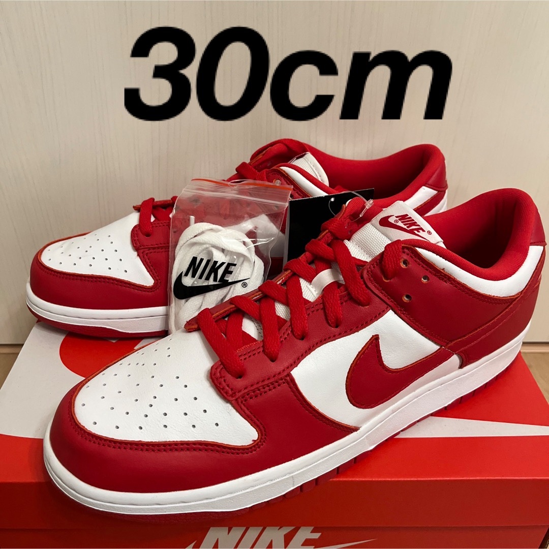 NIKE ダンク LOW SP ユニバーシティレッド 30cm