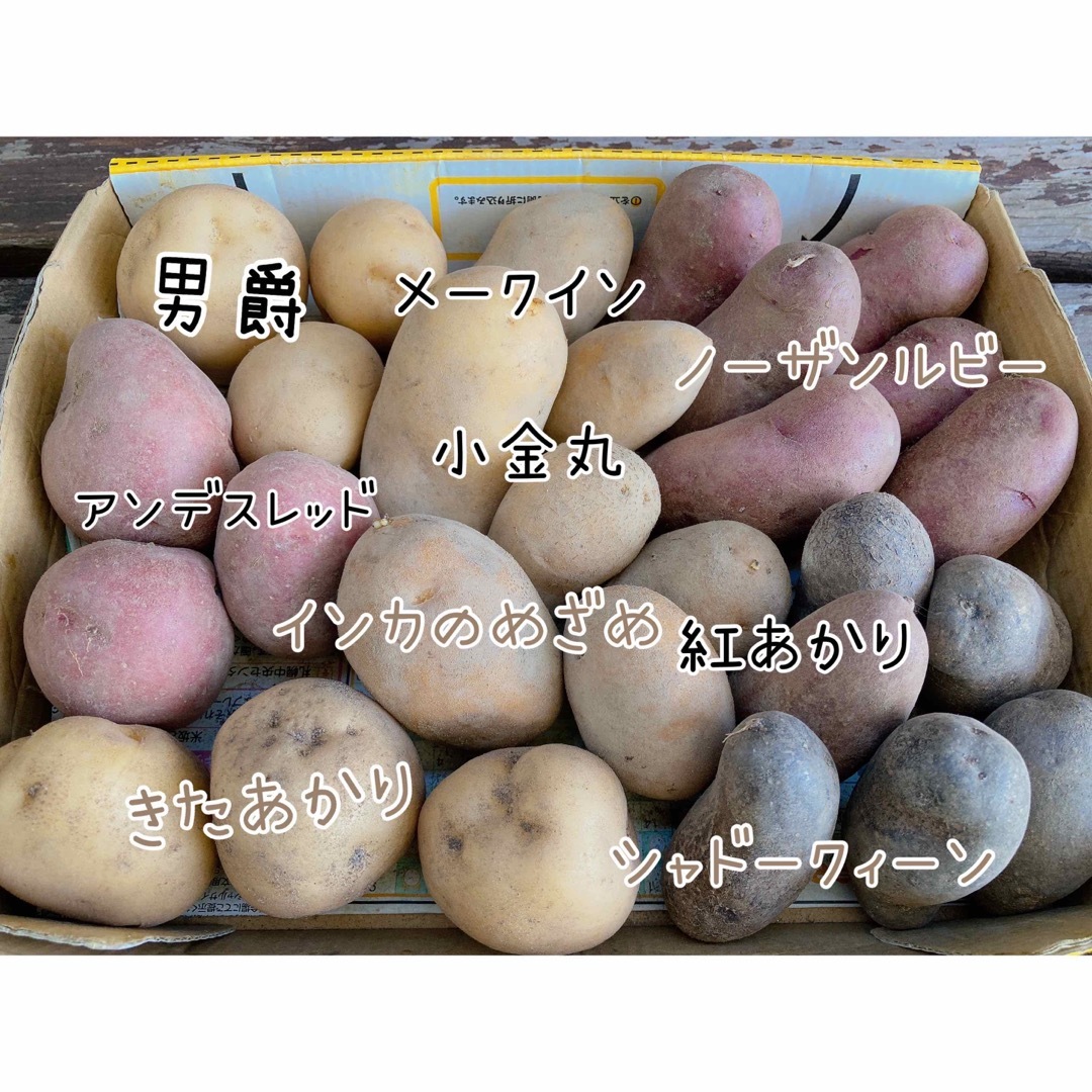 北海道産 じゃがいも食べ比べセット 食品/飲料/酒の食品(野菜)の商品写真