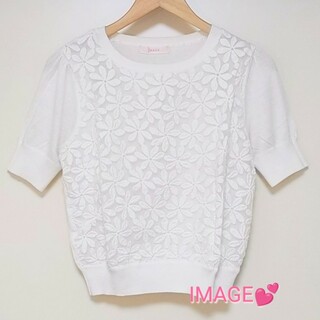 イマージュ(IMAGE)のIMAGE ❥ 花刺繍オーガンジー半袖ニット💕 L(ニット/セーター)
