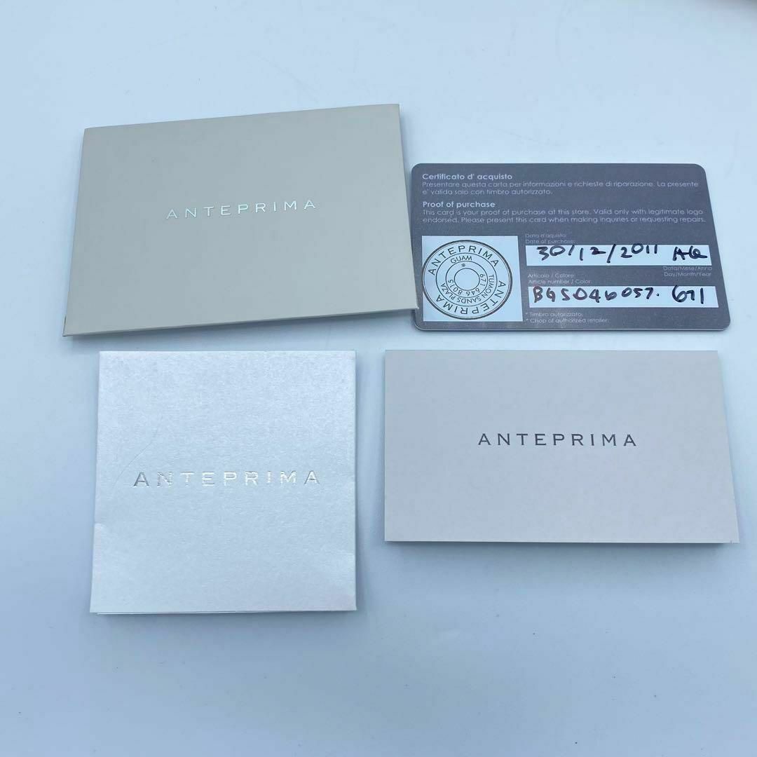 【美品】 ANTEPRIMA アンテプリマ ワイヤーハンドバッグ　カード付き