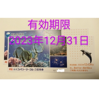 新江ノ島水族館 招待券 2枚セット(水族館)